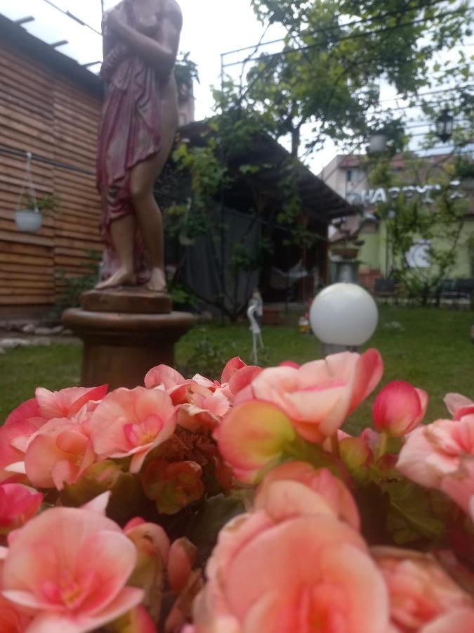 Casa Elena Lejlighed Sighişoara Eksteriør billede