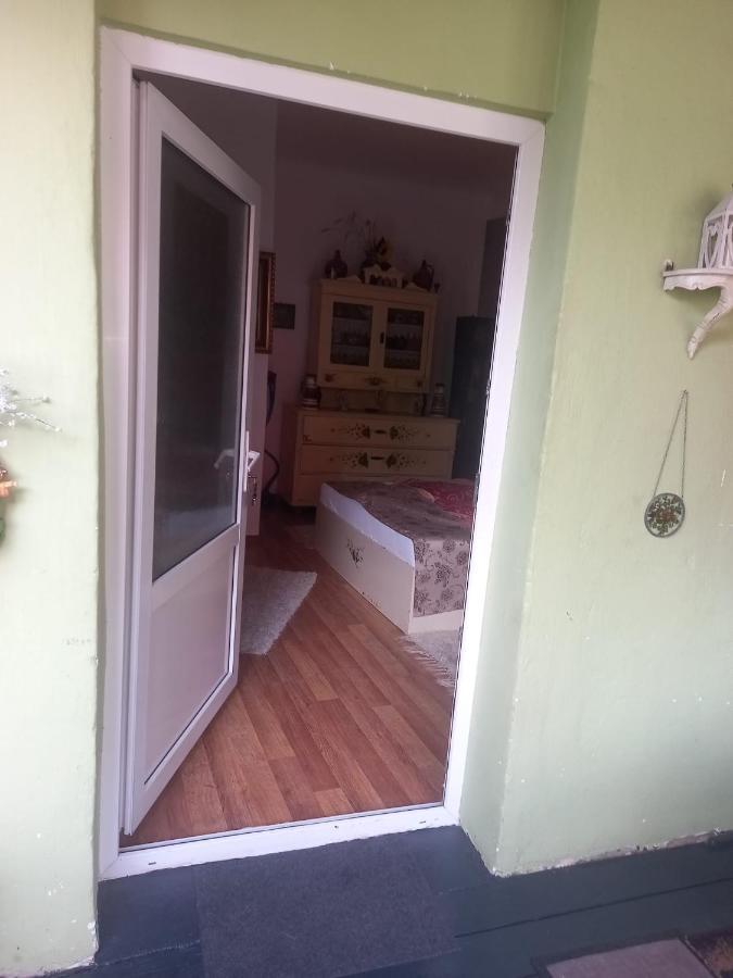 Casa Elena Lejlighed Sighişoara Eksteriør billede