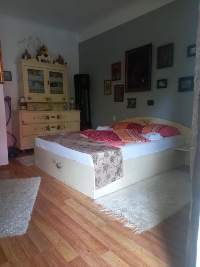 Casa Elena Lejlighed Sighişoara Eksteriør billede