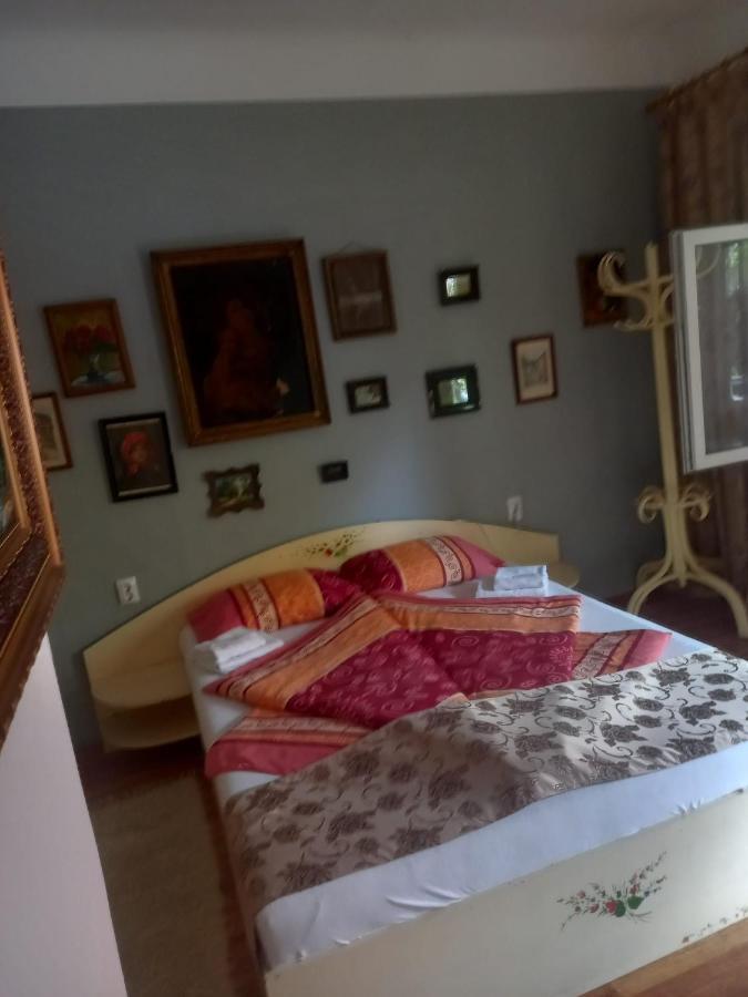 Casa Elena Lejlighed Sighişoara Eksteriør billede