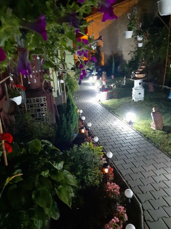 Casa Elena Lejlighed Sighişoara Eksteriør billede